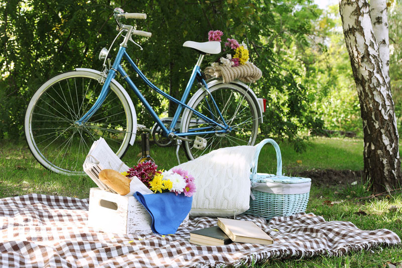 Do You Know These Golden Rules of Birthday Picnics?